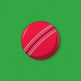 Cricket Ball Button Badge