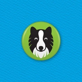 Border Collie Dog Button Badge